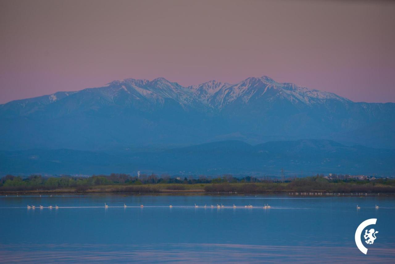 "Dream" Magnifique Vue Mer, Terrasse, Parking, Le Reve Appartement Canet-en-Roussillon Buitenkant foto